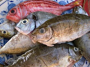 ein Berg Fisch auf einem Teller